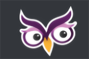 Excelsior Online Writing Lab