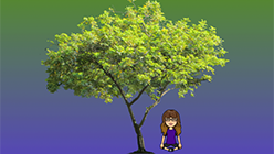 Tree with someone sitting under it